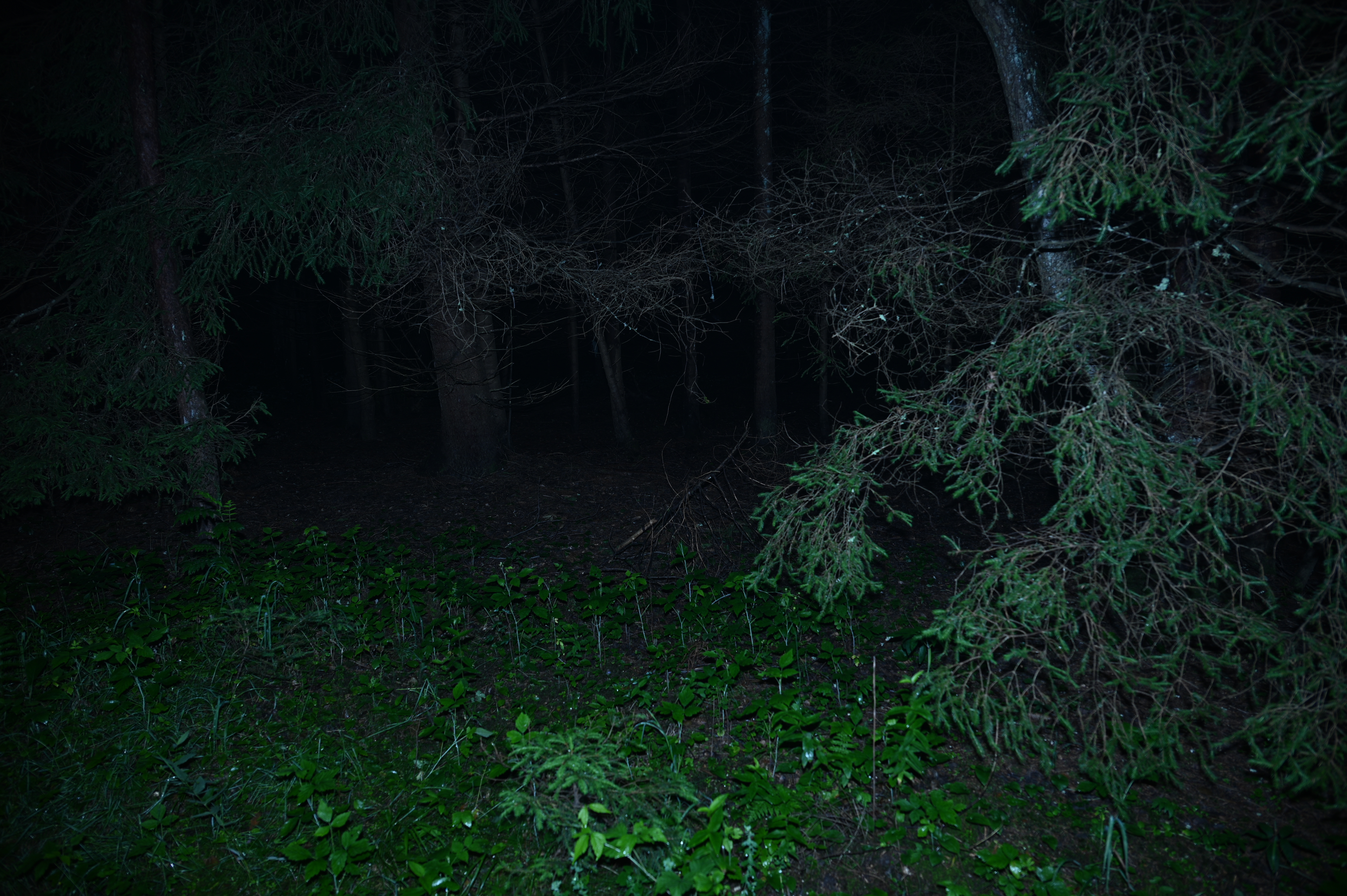 2025/07/09-14 - trip/DSC_0299.JPG